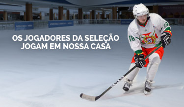 Federação de Desportos de Inverno de Portugal