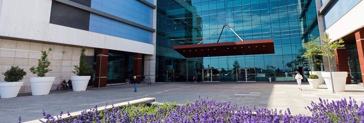 Palácio do Gelo Shopping - Exterior